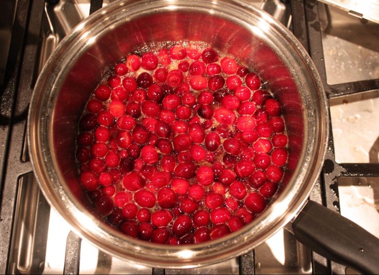 Homemade Cranberry Sauce - Day Lilly
